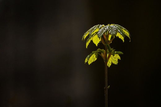 �1756942 �������(a): ����������:2048x1366